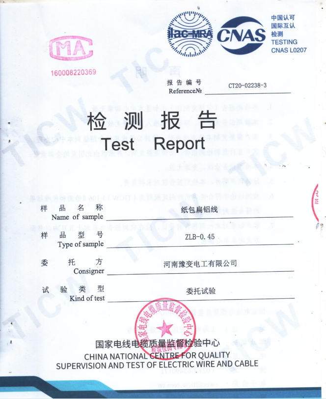檢測報告