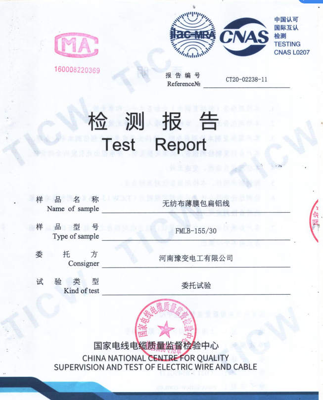 檢測報告
