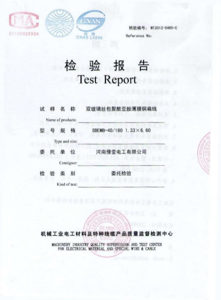 檢測報告